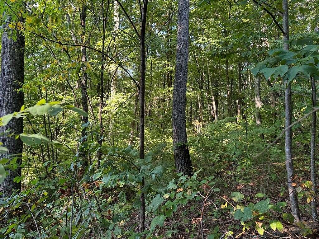 1.59 Acres of Residential Land for Sale in Ellijay, Georgia