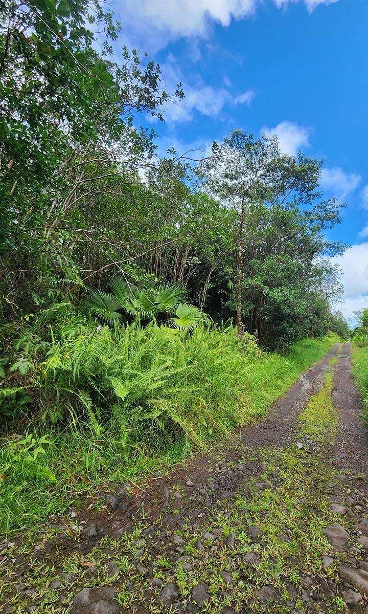 3 Acres of Residential Land for Sale in Mountain View, Hawaii