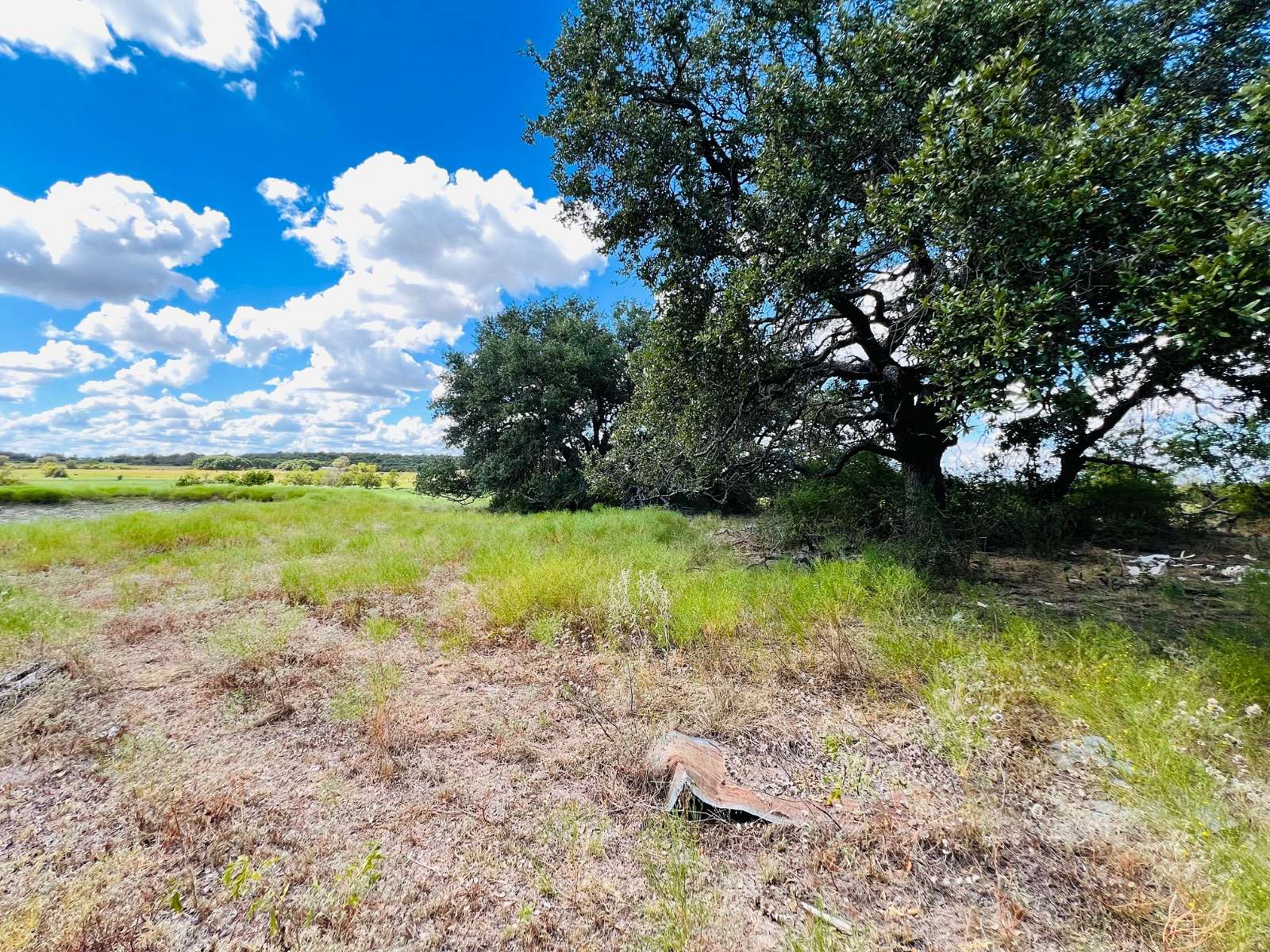 9.16 Acres of Land for Sale in Pottsville, Texas