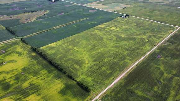 158.91 Acres of Agricultural Land for Sale in Kiester, Minnesota