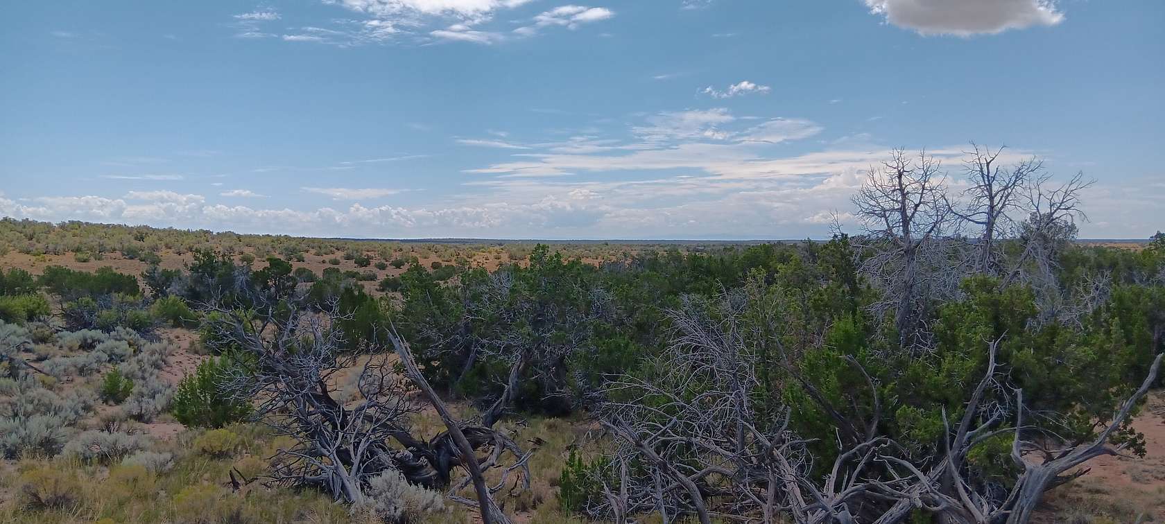 1.24 Acres of Residential Land for Sale in Chambers, Arizona