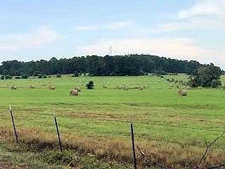 36.601 Acres of Agricultural Land for Sale in Palestine, Texas