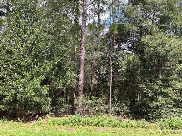 0.95 Acres of Residential Land for Sale in Dunnellon, Florida