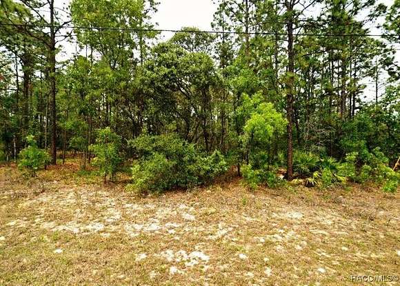 0.23 Acres of Residential Land for Sale in Citrus Springs, Florida