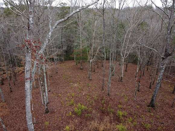 3 Acres of Residential Land for Sale in Ellijay, Georgia