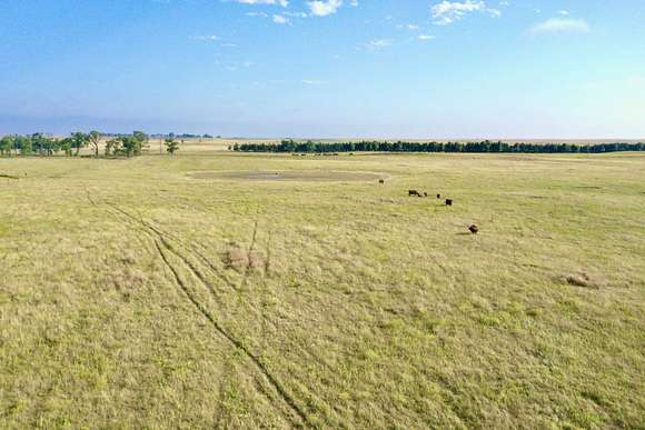 160 Acres of Recreational Land for Sale in Mission, South Dakota