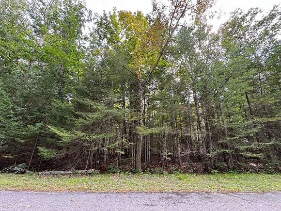 0.53 Acres of Land for Sale in Presque Isle, Michigan