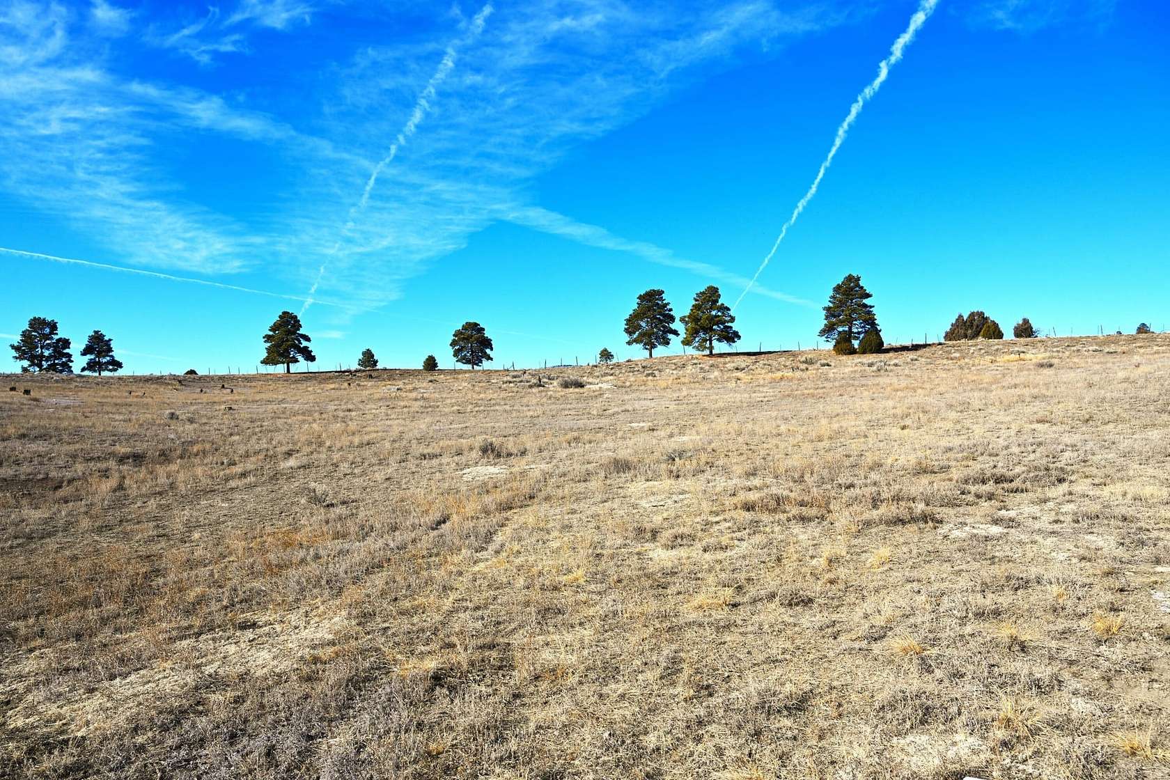 10 Acres of Recreational Land for Sale in Chama, New Mexico