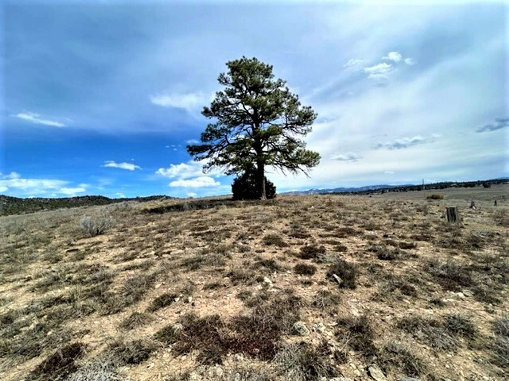 10 Acres of Recreational Land for Sale in Chama, New Mexico