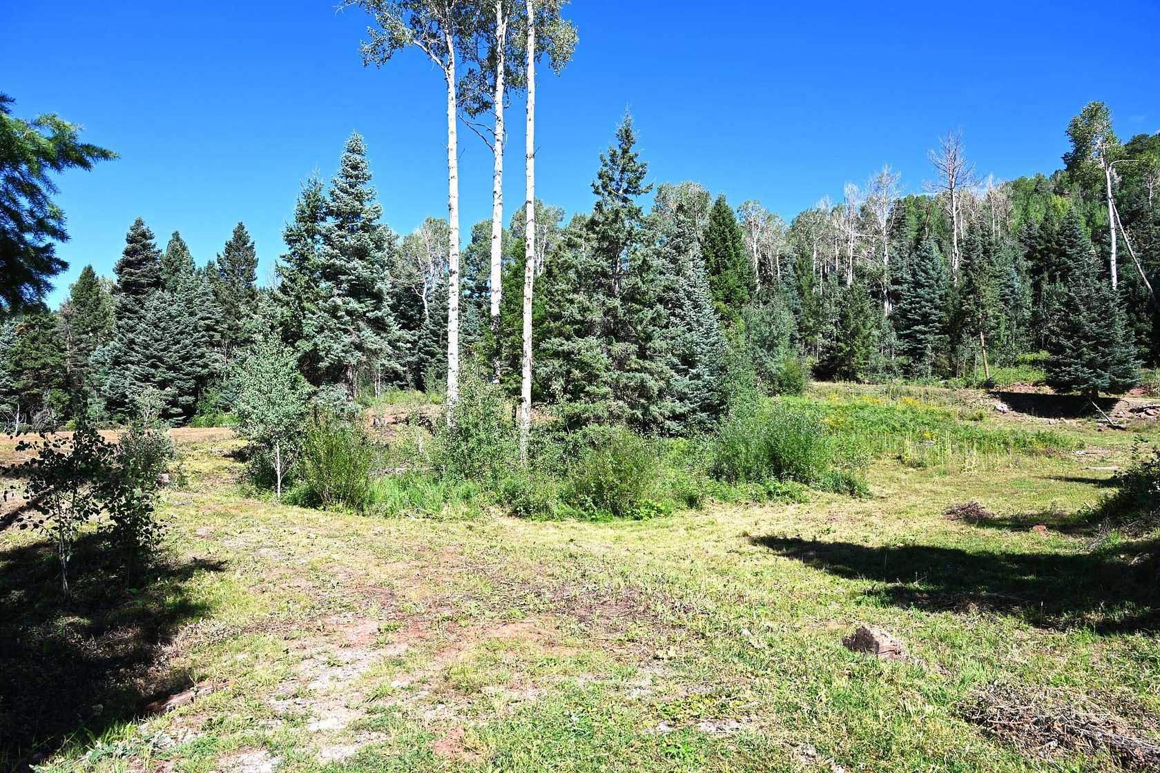 5 Acres of Recreational Land for Sale in Chama, New Mexico