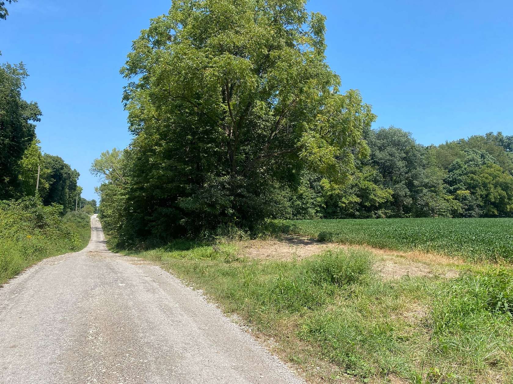 40 Acres of Recreational Land & Farm for Sale in Cowden, Illinois