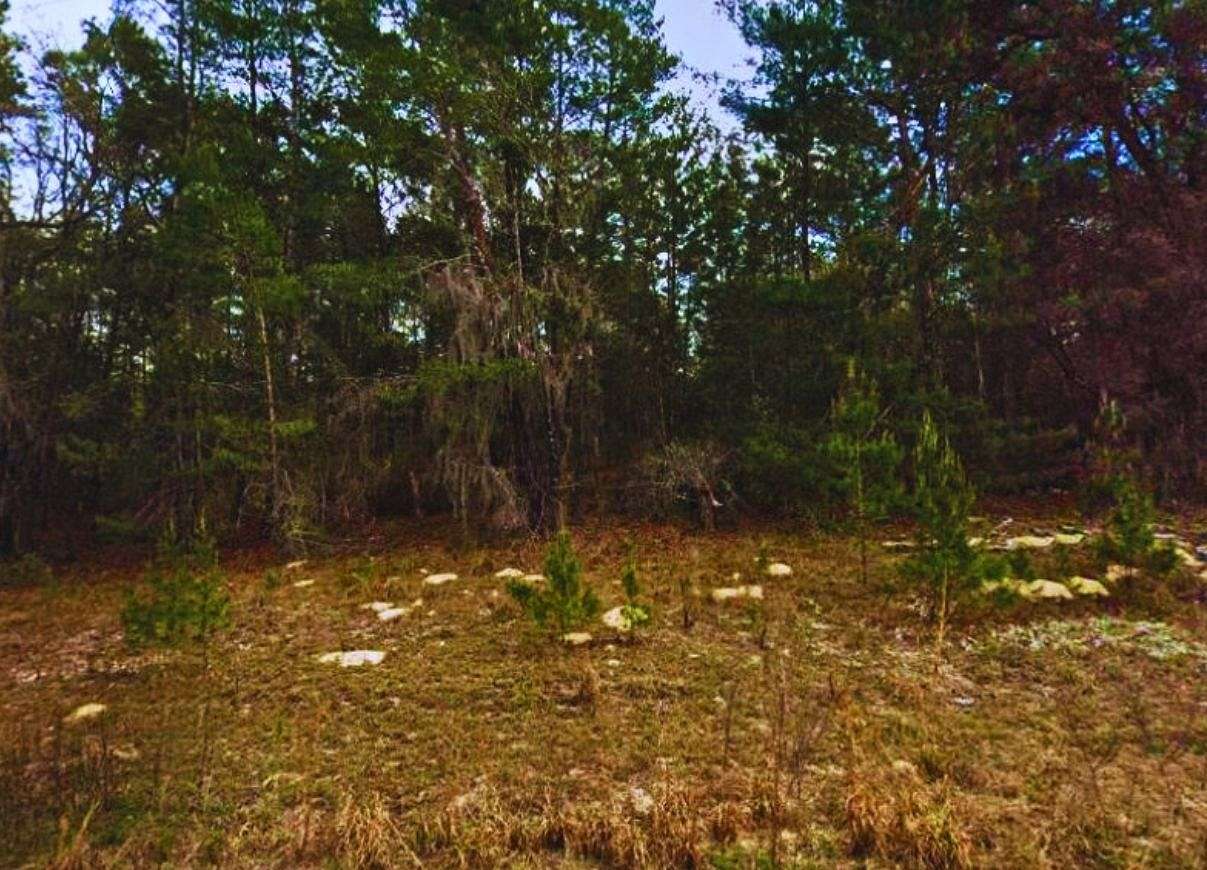 0.43 Acres of Residential Land for Sale in Interlachen, Florida