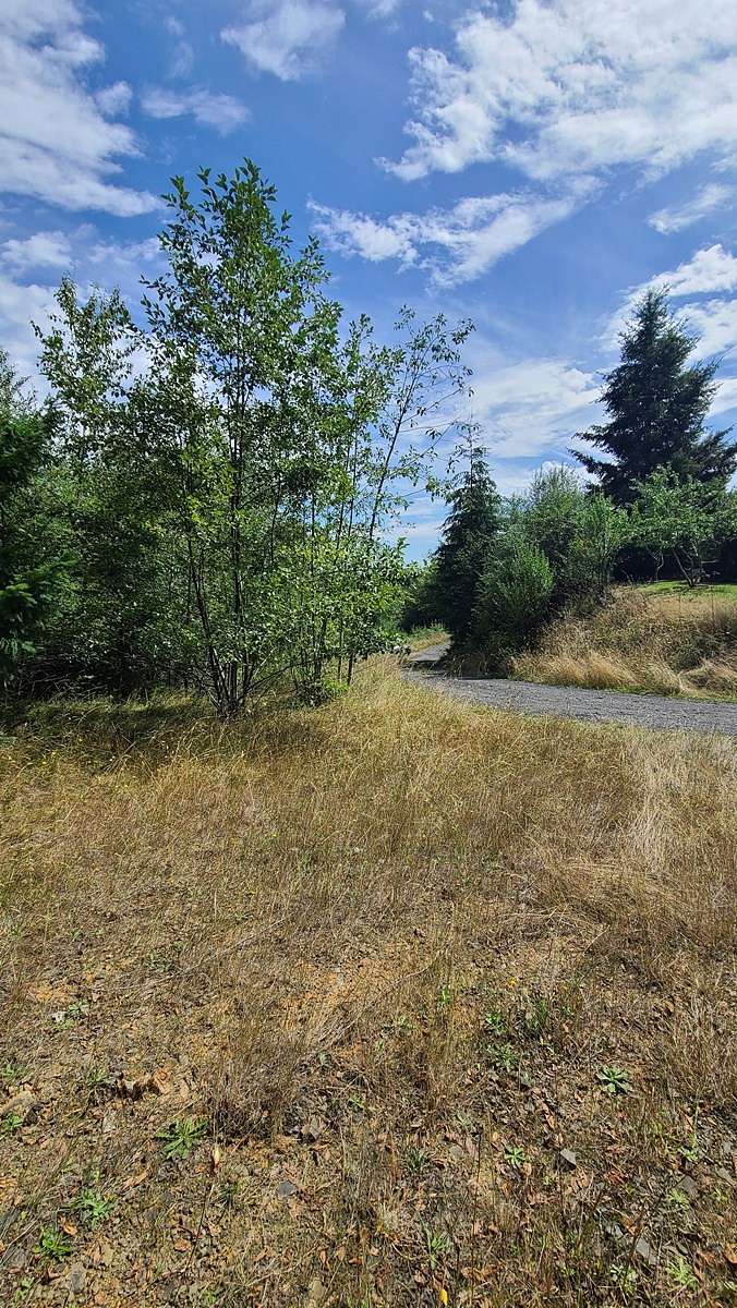 22 Acres of Agricultural Land for Sale in Chehalis, Washington