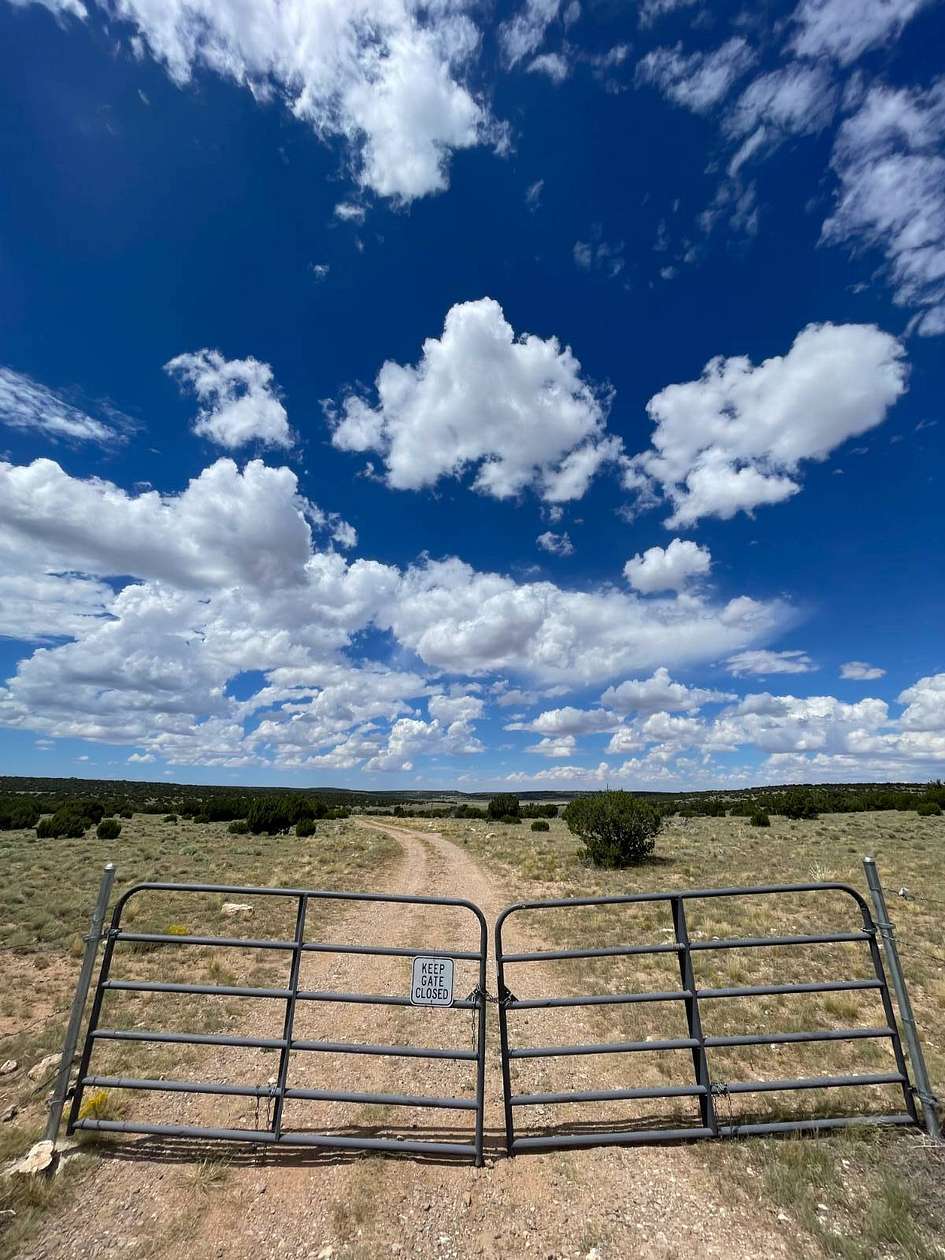 36.21 Acres of Recreational Land for Sale in Concho, Arizona