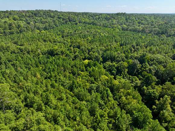 39 Acres of Land for Sale in Jackson, Alabama