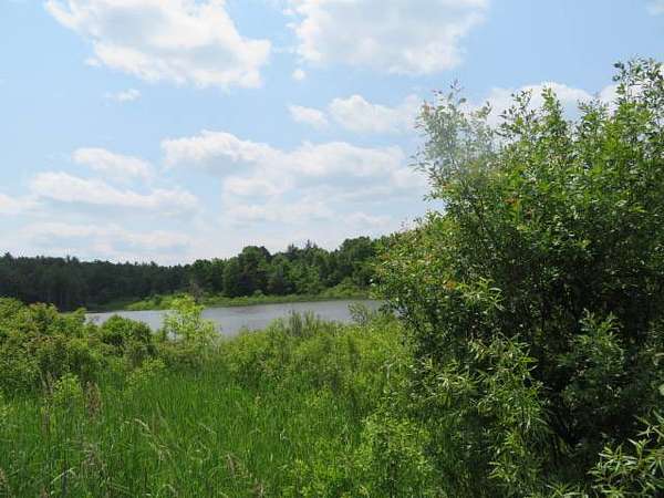 10 Acres of Land for Sale in Hammond, New York