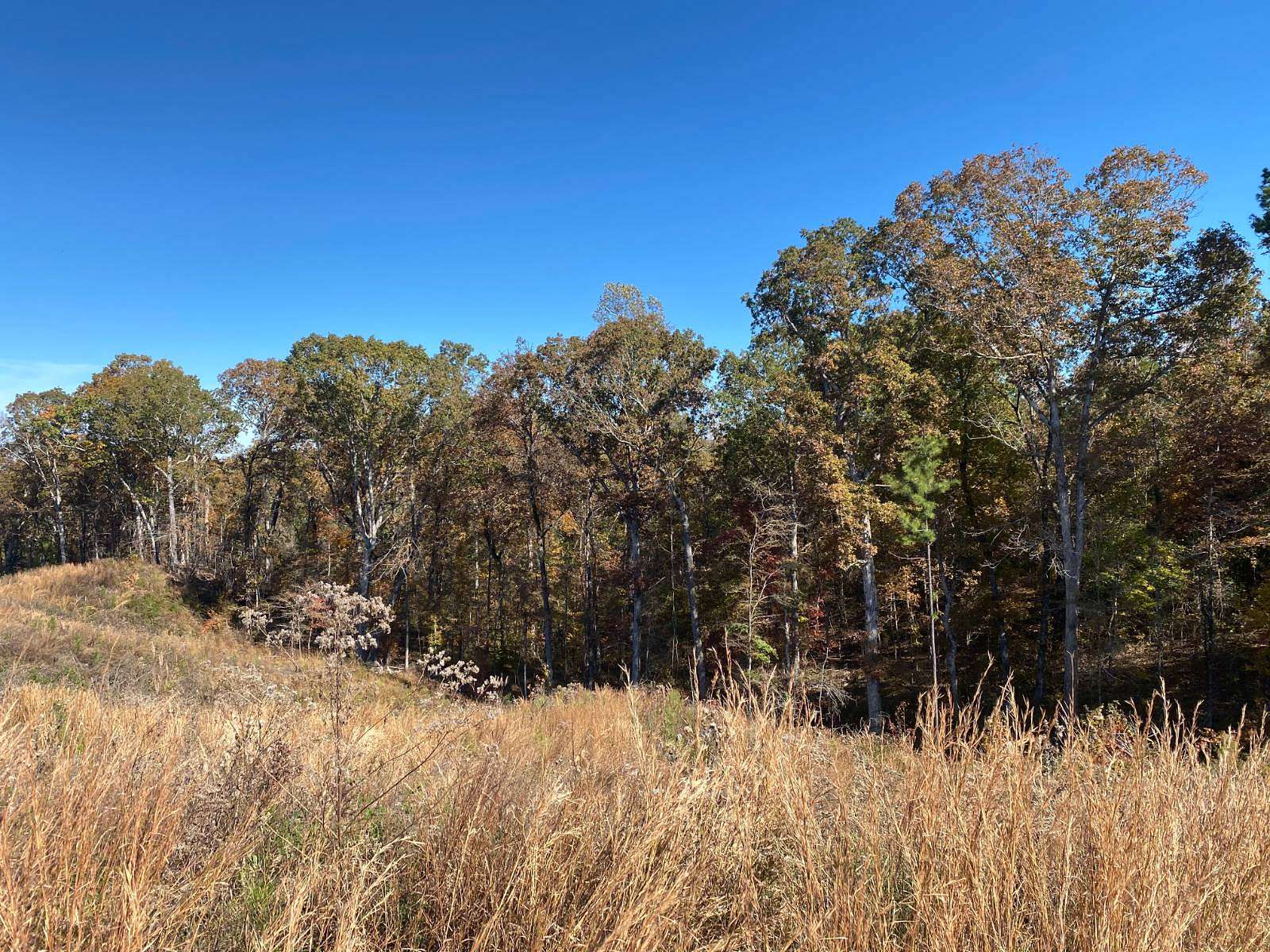 122 Acres of Recreational Land for Sale in Coila, Mississippi