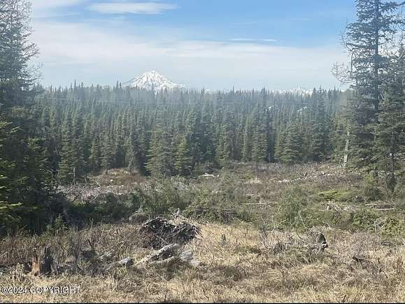 9 Acres of Residential Land for Sale in Clam Gulch, Alaska