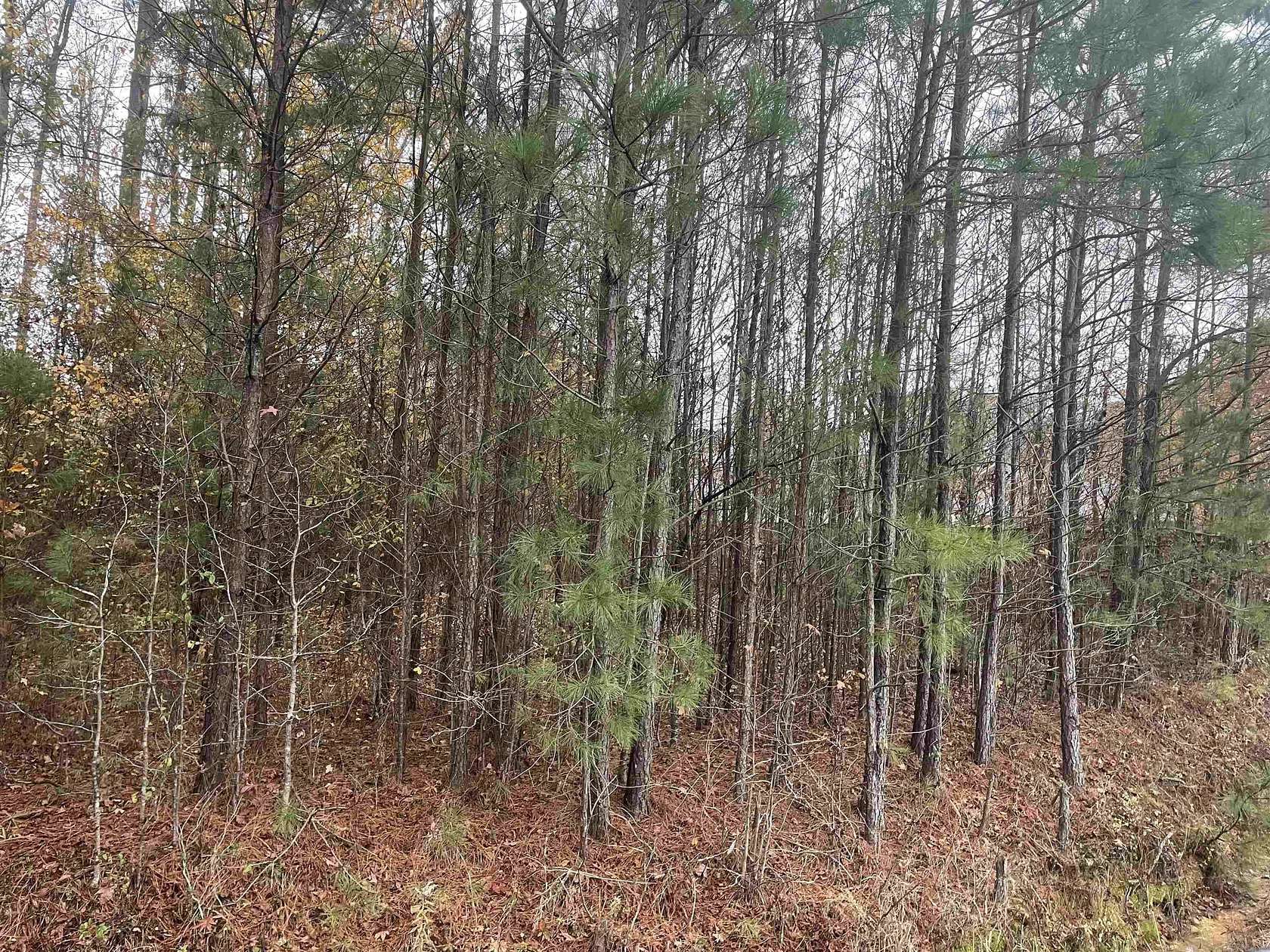 8 Acres of Residential Land for Sale in Judsonia, Arkansas