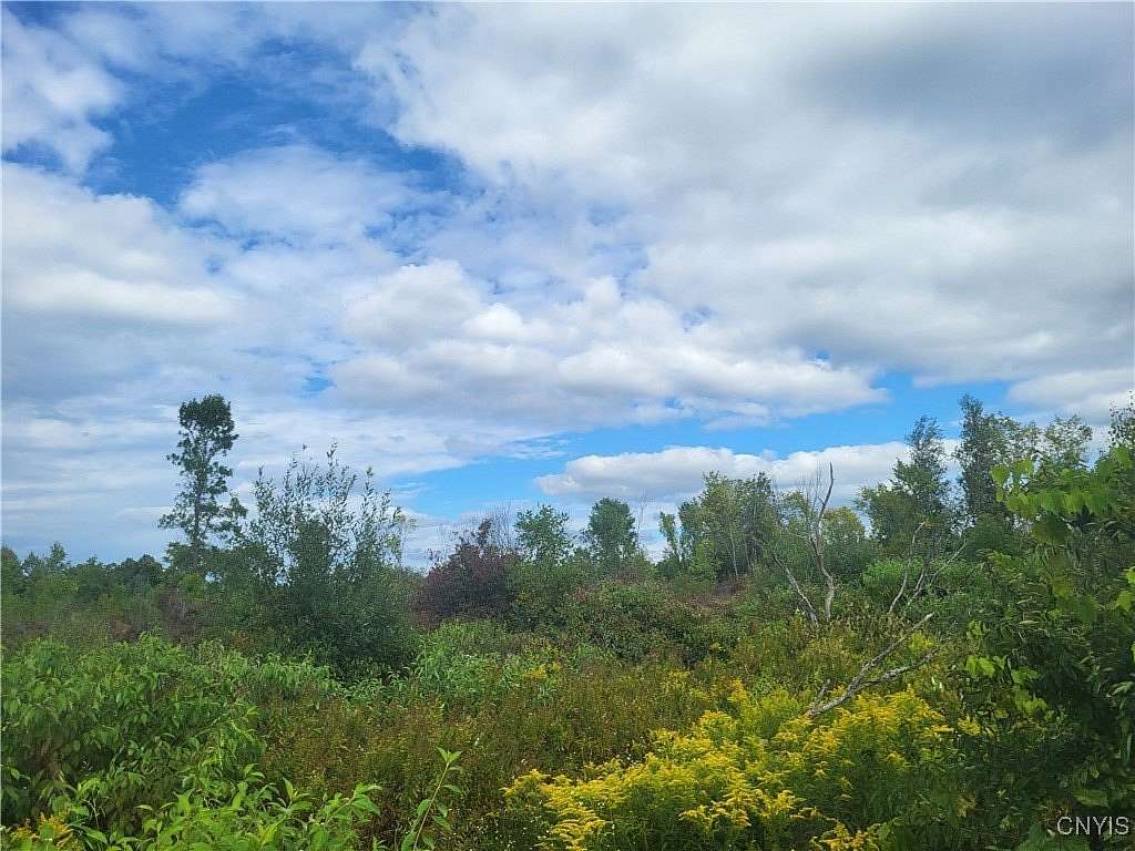 5.1 Acres of Residential Land for Sale in Hammond, New York