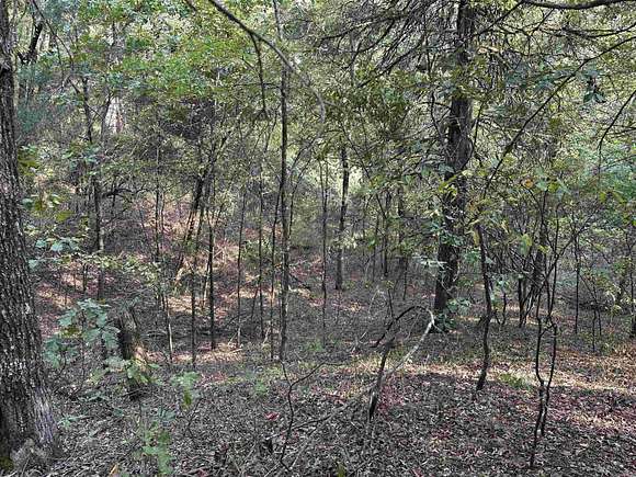 10 Acres of Land for Sale in Paragould, Arkansas