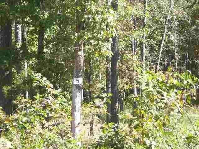 0.68 Acres of Residential Land for Sale in Drasco, Arkansas