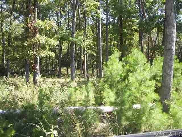 0.63 Acres of Residential Land for Sale in Drasco, Arkansas