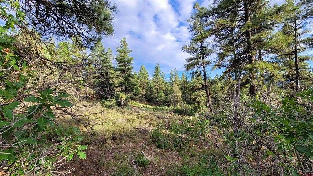 6.6 Acres of Residential Land for Sale in Pagosa Springs, Colorado