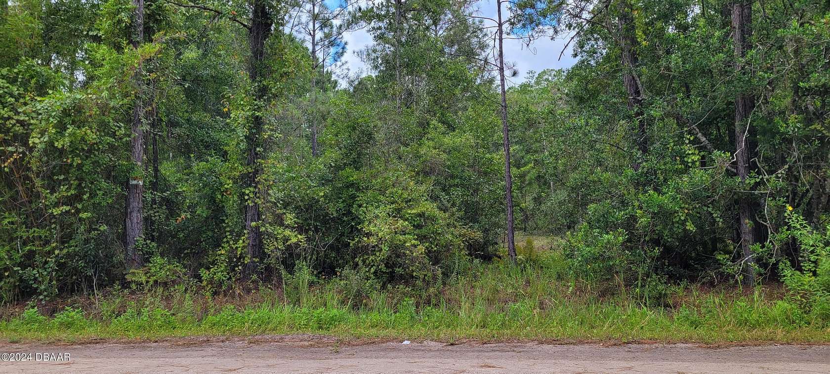 1.14 Acres of Residential Land for Sale in Bunnell, Florida