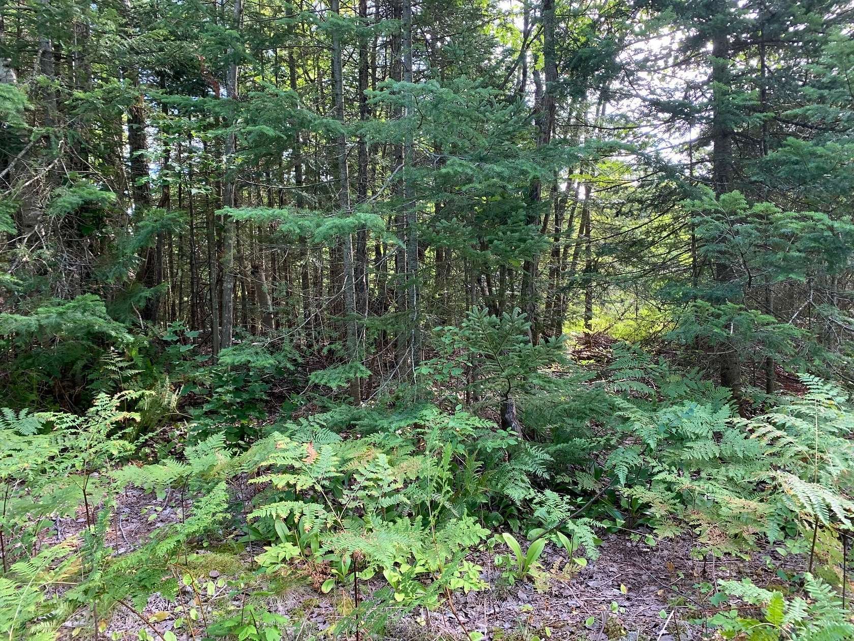 Residential Land for Sale in Paradise, Michigan