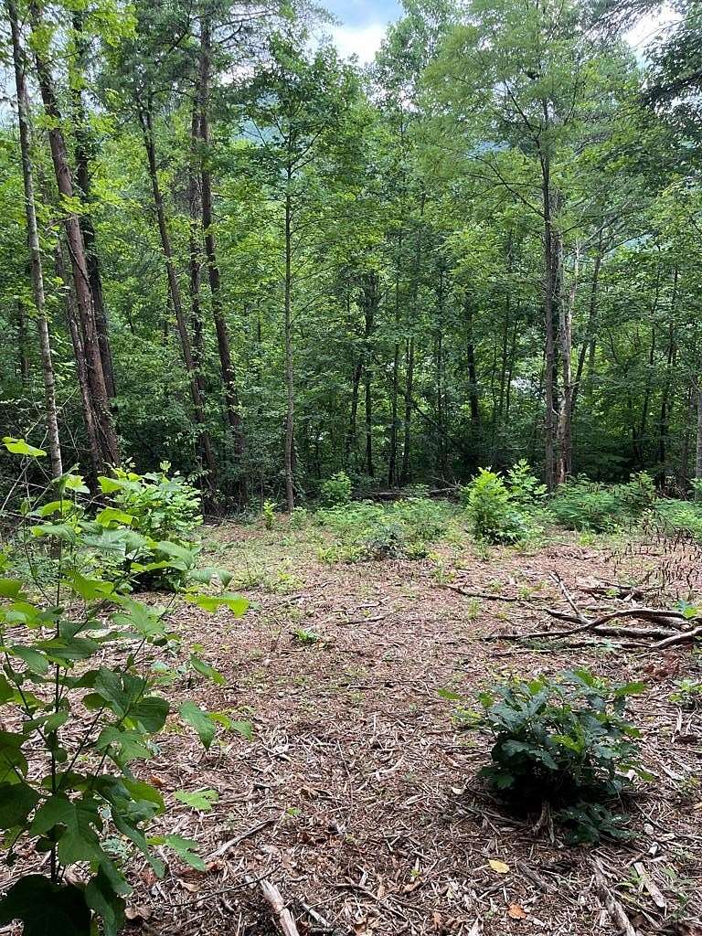 11.89 Acres of Land for Sale in Franklin, North Carolina