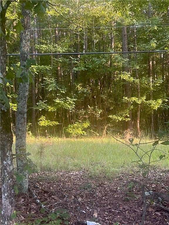 19 Acres of Land for Sale in Aragon, Georgia