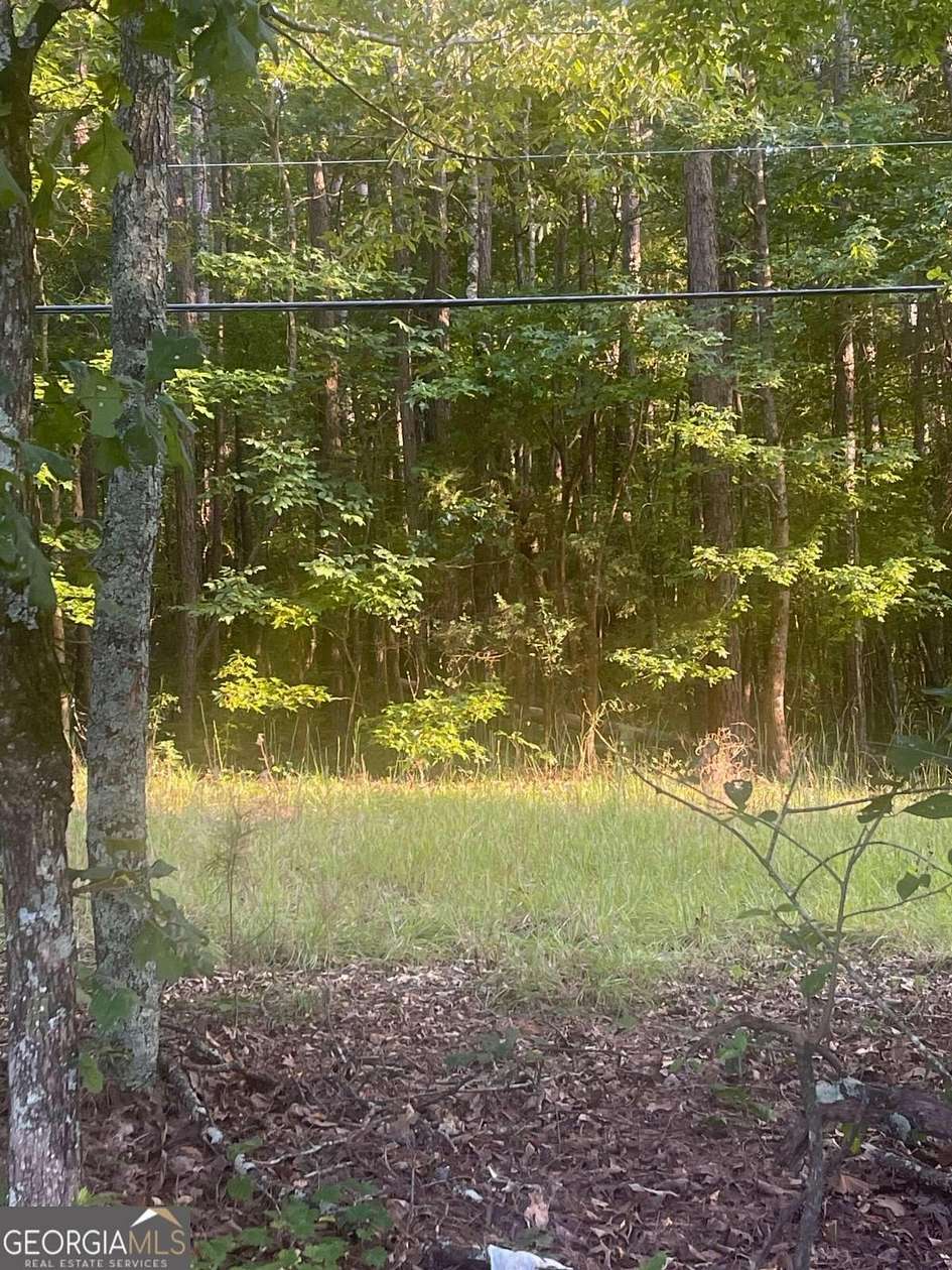 19 Acres of Land for Sale in Aragon, Georgia