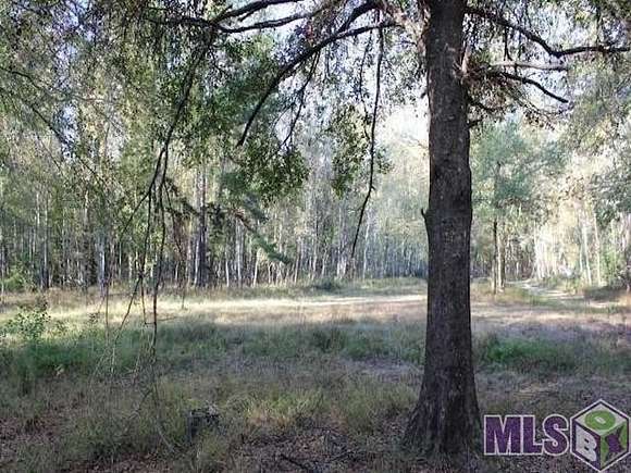 34.34 Acres of Land for Sale in Holden, Louisiana