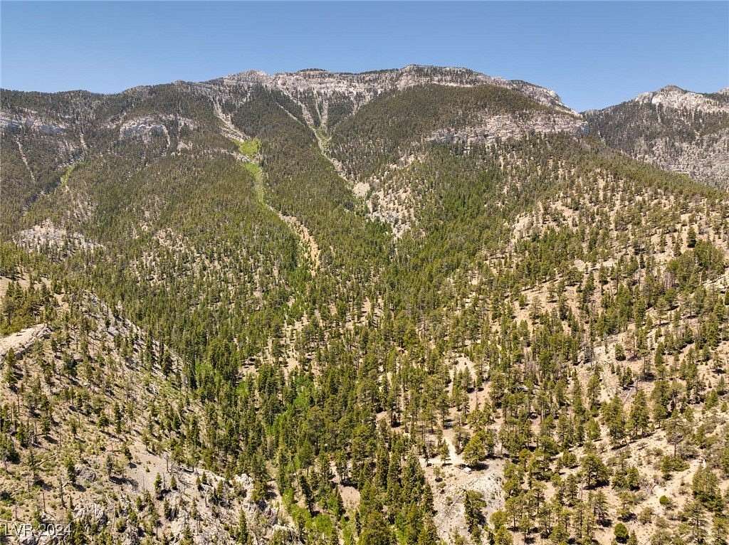 1.65 Acres of Residential Land for Sale in Mount Charleston, Nevada