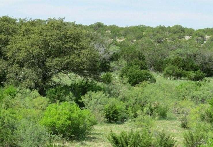 10.27 Acres of Agricultural Land for Sale in Roma, Texas