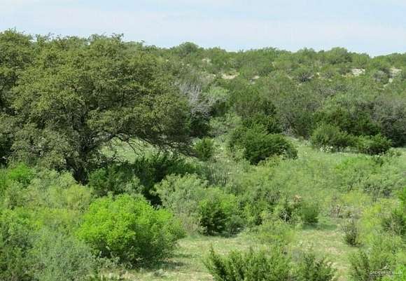 10.41 Acres of Agricultural Land for Sale in Roma, Texas