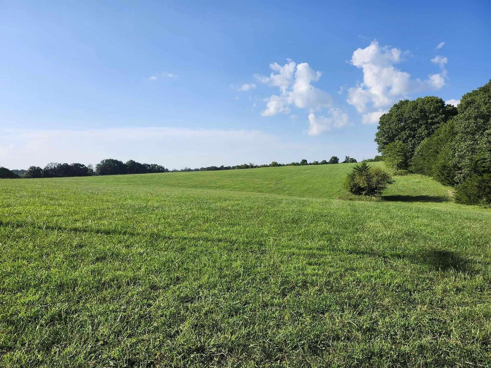 8.08 Acres of Residential Land for Sale in Grovespring, Missouri