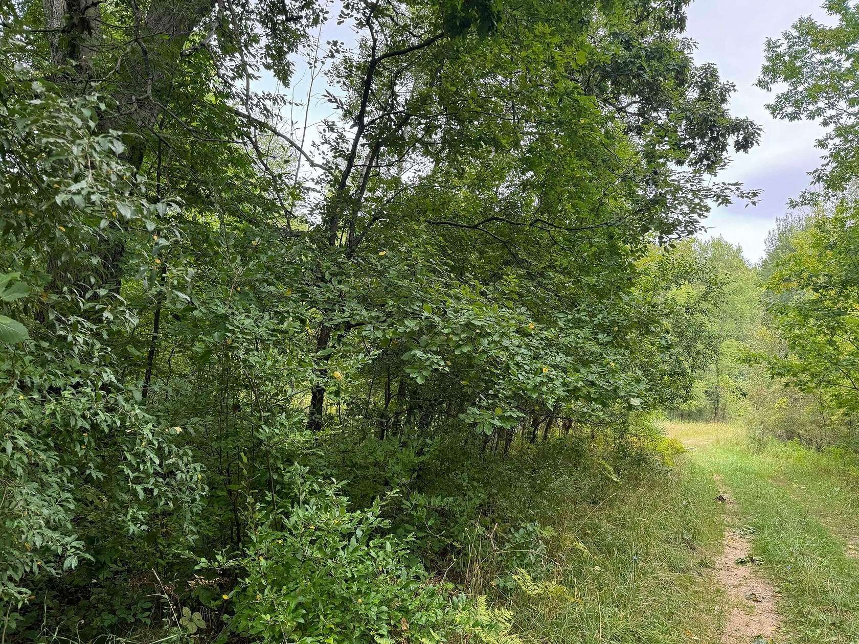 4.36 Acres of Land for Sale in Evart, Michigan