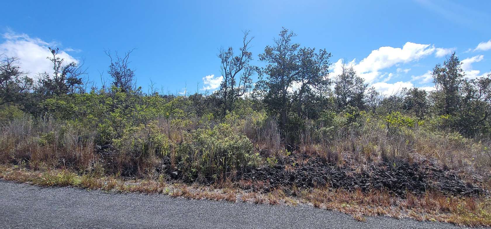 1 Acre of Land for Sale in Hawaiian Ocean View, Hawaii