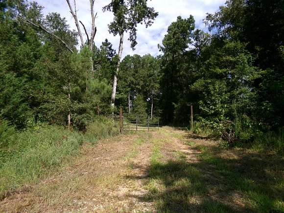 9.8 Acres of Residential Land for Sale in Tyler, Texas