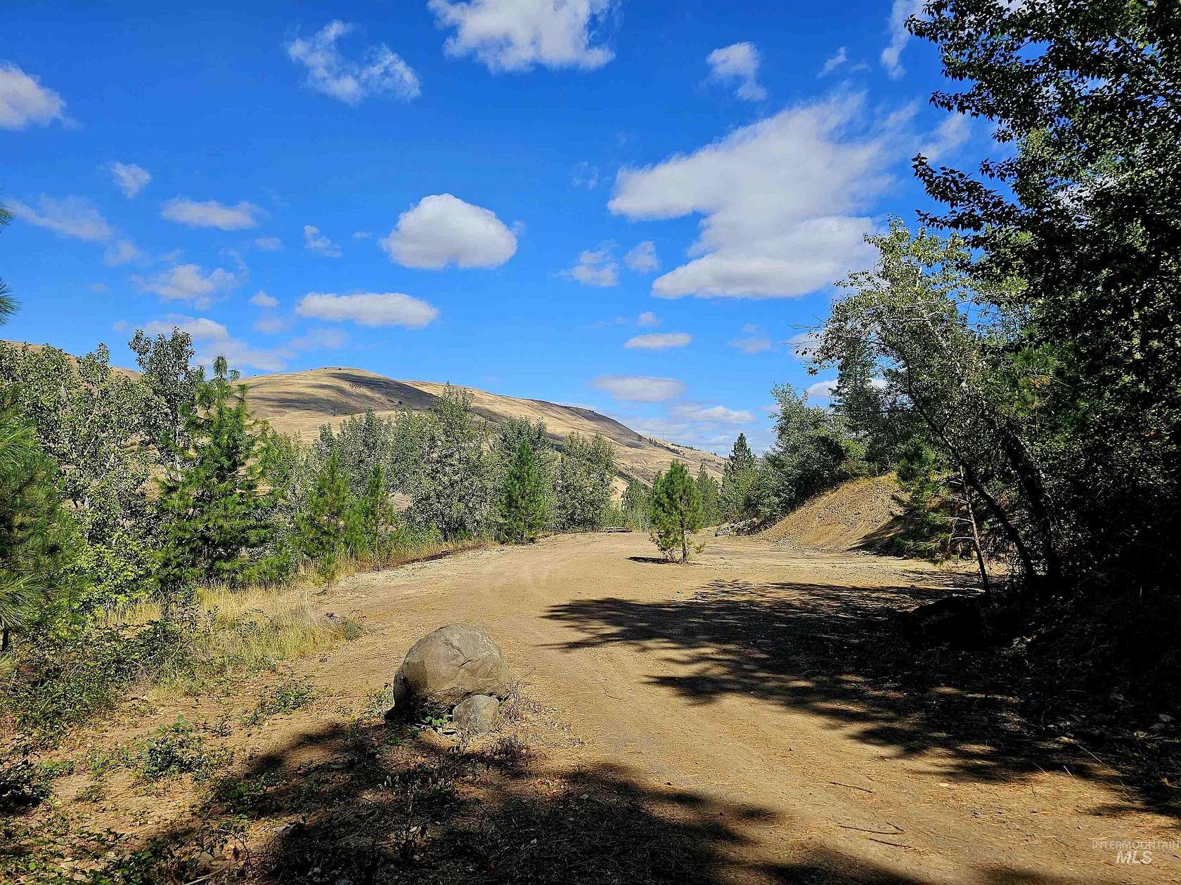 5.1 Acres of Residential Land for Sale in Juliaetta, Idaho