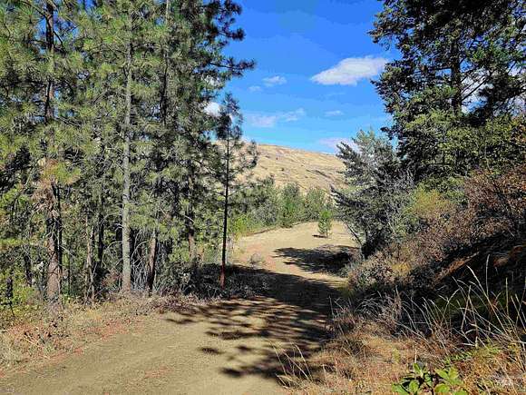 5.1 Acres of Residential Land for Sale in Juliaetta, Idaho