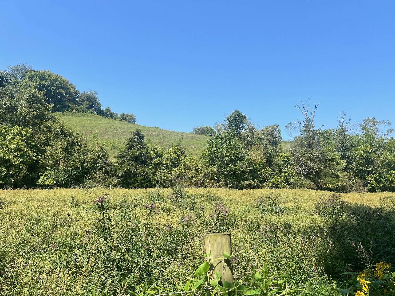 7.5 Acres of Land for Sale in Lancaster, Kentucky