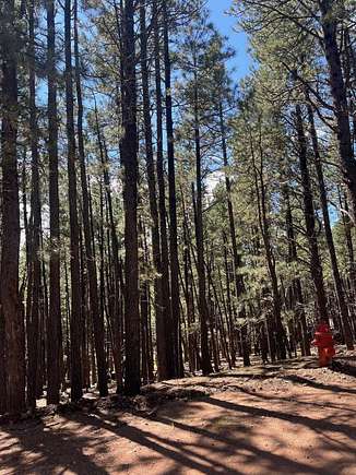 0.51 Acres of Residential Land for Sale in Angel Fire, New Mexico