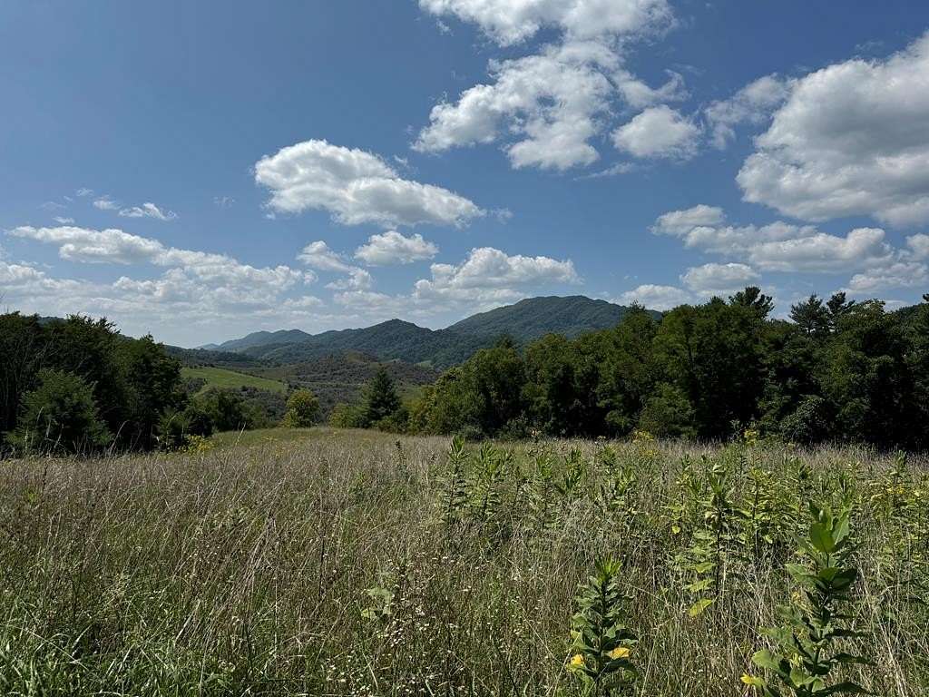 90.21 Acres of Land for Sale in Cedar Bluff, Virginia