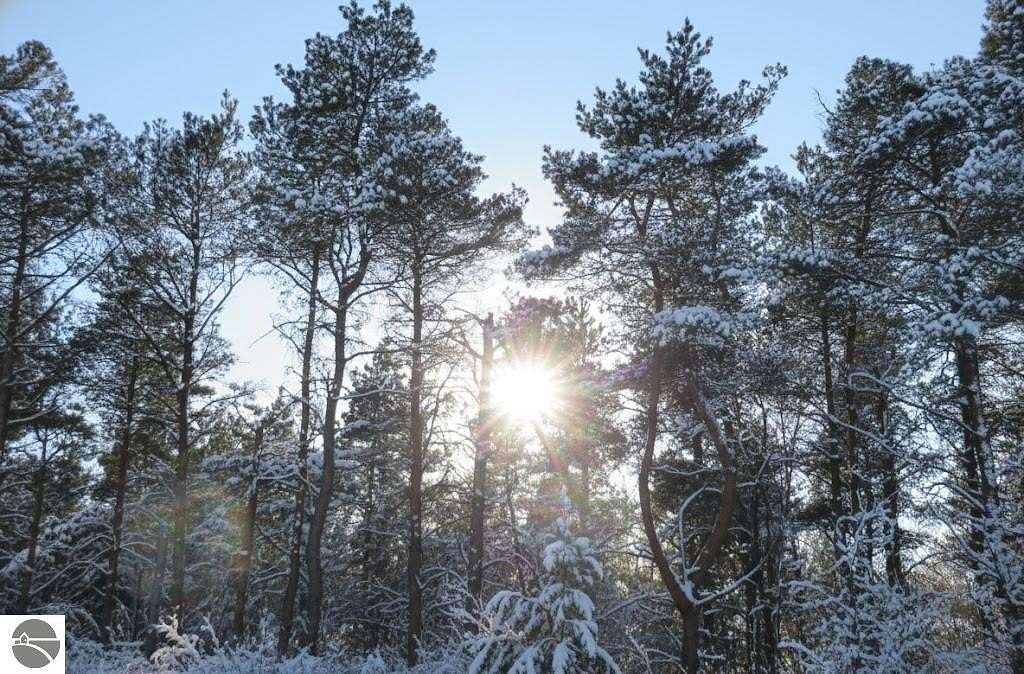 11.5 Acres of Land for Sale in Kingsley, Michigan