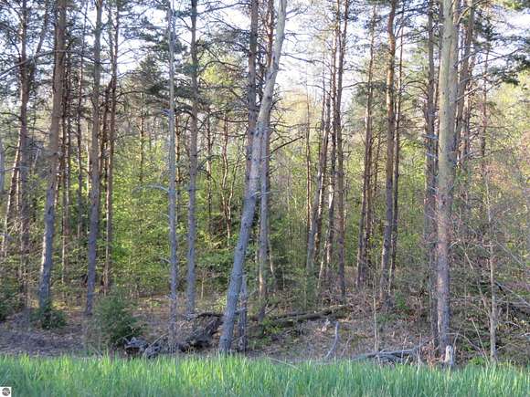 11.49 Acres of Land for Sale in Kingsley, Michigan