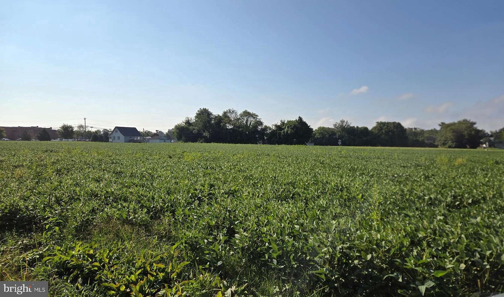 4.11 Acres of Land for Sale in Milton, Delaware