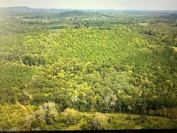 39.27 Acres of Agricultural Land for Sale in Denton, North Carolina